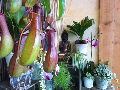 Statues en bronze objets chinois decoration fleuriste par Objets Chinois art de l'asie et des minorités