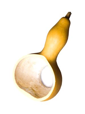 Accessoires à thé Calebasse 100% naturel - 