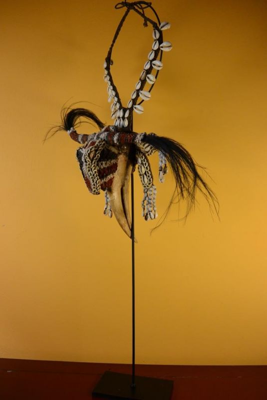 Cliquez sur la vignette pour agrandir et survolez la photo pour zoomer Ancien Plastron tribal Indonésie - Calao rhinocéros 2