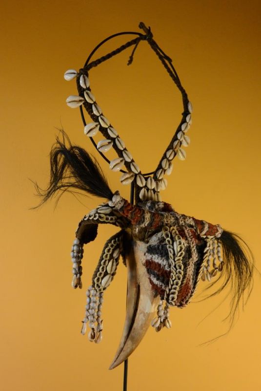 Cliquez sur la vignette pour agrandir et survolez la photo pour zoomer Ancien Plastron tribal Indonésie - Calao rhinocéros 4