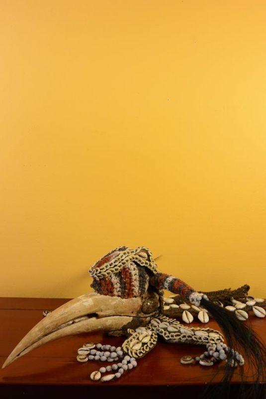 Cliquez sur la vignette pour agrandir et survolez la photo pour zoomer Ancien Plastron tribal Indonésie - Calao rhinocéros 5