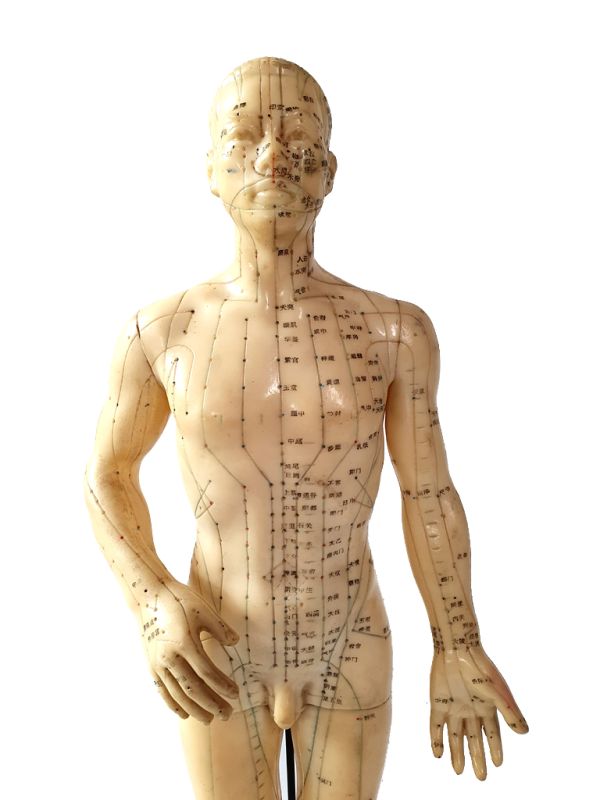 Cliquez sur la vignette pour agrandir et survolez la photo pour zoomer Ancienne Statue Acupuncture chinoise - Plastique - Homme 1 2