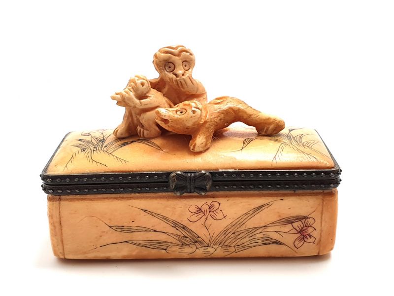 Cliquez sur la vignette pour agrandir et survolez la photo pour zoomer Boite en OS Singes 2