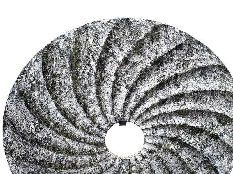 Cliquez sur la vignette pour agrandir et survolez la photo pour zoomer Disque Bi en Jade Gravé 30cm - Coquillage / Foncé 3