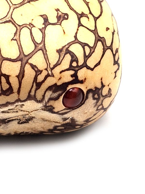 Cliquez sur la vignette pour agrandir et survolez la photo pour zoomer Ivoire végétal FengShui Graine taillée 3