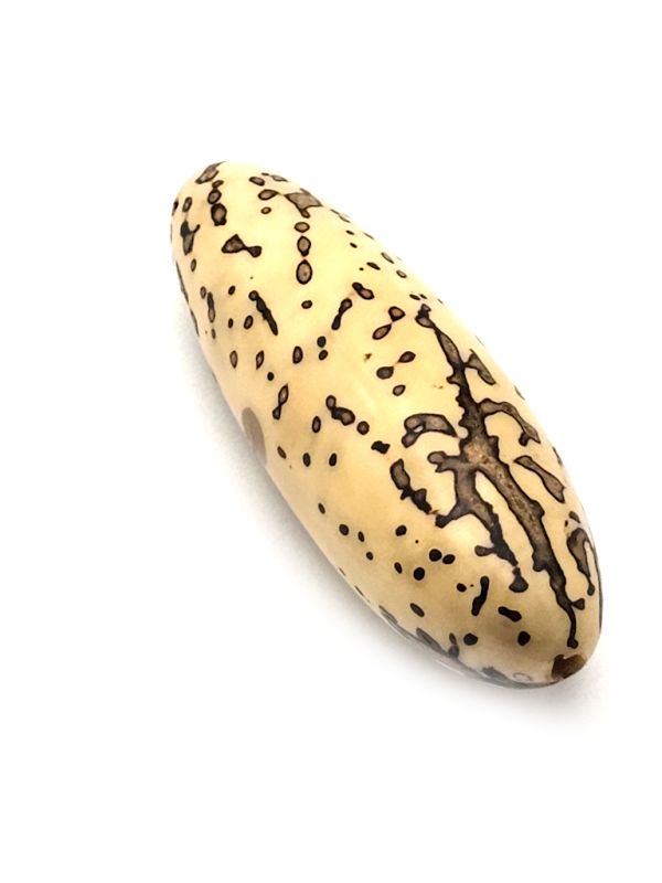 Cliquez sur la vignette pour agrandir et survolez la photo pour zoomer Ivoire végétal FengShui Graine taillée 2