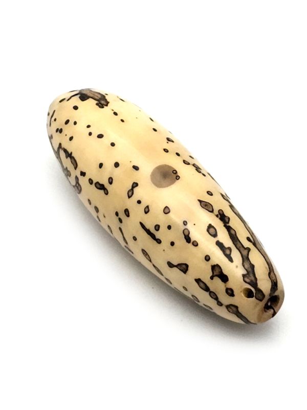 Cliquez sur la vignette pour agrandir et survolez la photo pour zoomer Ivoire végétal FengShui Graine taillée 3