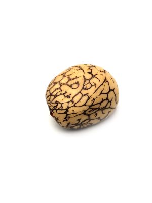 Ivoire végétal FengShui Graine taillée