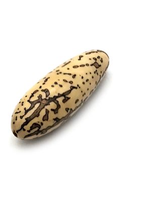 Ivoire végétal FengShui Graine taillée