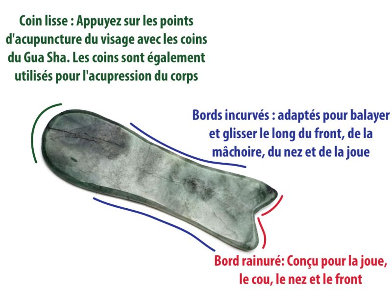 Cliquez sur la vignette pour agrandir et survolez la photo pour zoomer Médecine traditionnelle chinoise - Gua Sha Poisson - Corps et visage - Vert Clair / Translucide 3