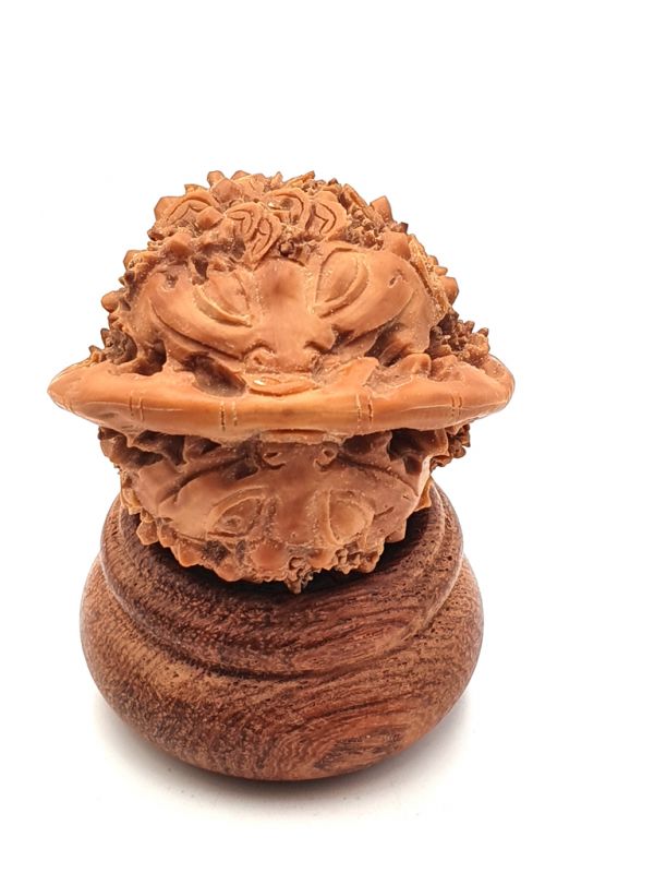Cliquez sur la vignette pour agrandir et survolez la photo pour zoomer Noix chinoise sculptée- Bagnard - Grenouille feng shui - Jin Chan 2