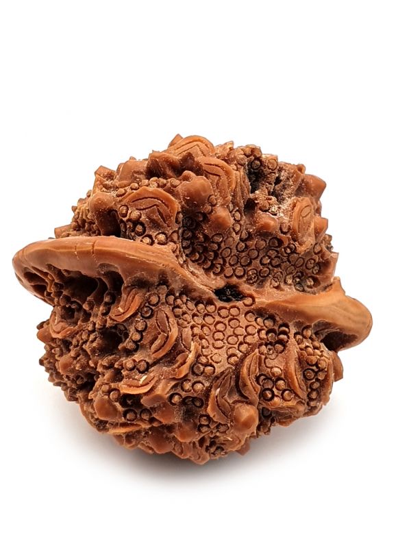 Cliquez sur la vignette pour agrandir et survolez la photo pour zoomer Noix chinoise sculptée- Bagnard - Grenouille feng shui - Jin Chan 5