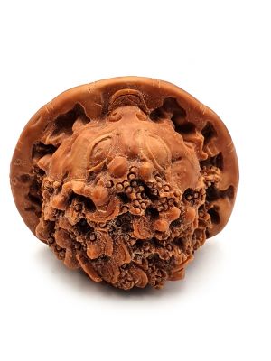 Noix chinoise sculptée- Bagnard - Grenouille feng shui - Jin Chan Noix chinoise sculptée- Bagnard - Grenouille feng shui - Jin Chan