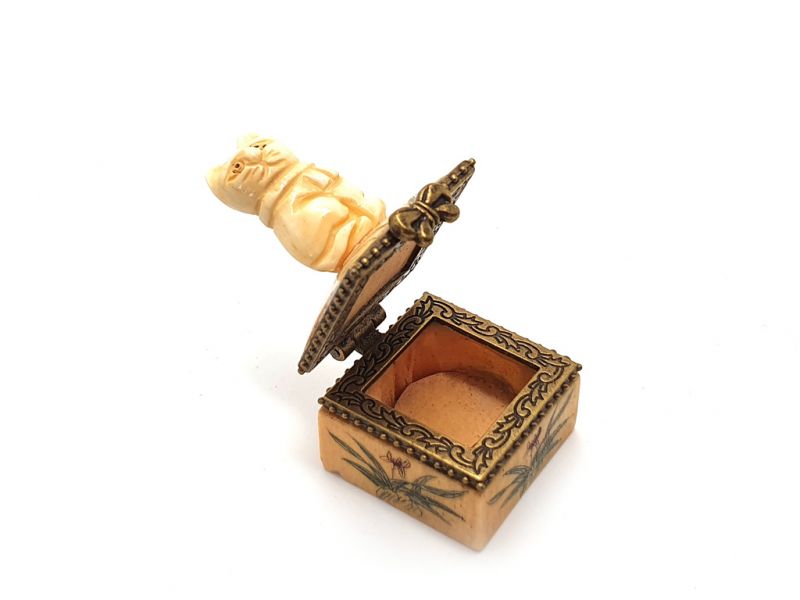 Cliquez sur la vignette pour agrandir et survolez la photo pour zoomer Petite Boite en OS Chat 5