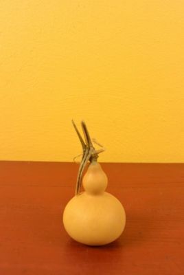 Petite Gourde Wu Lou Petite Gourde Wu Lou