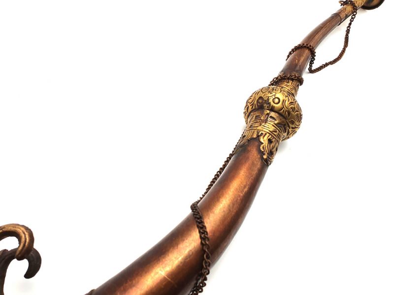 Cliquez sur la vignette pour agrandir et survolez la photo pour zoomer Reliquaire Tibétain Trompette Dragon 4